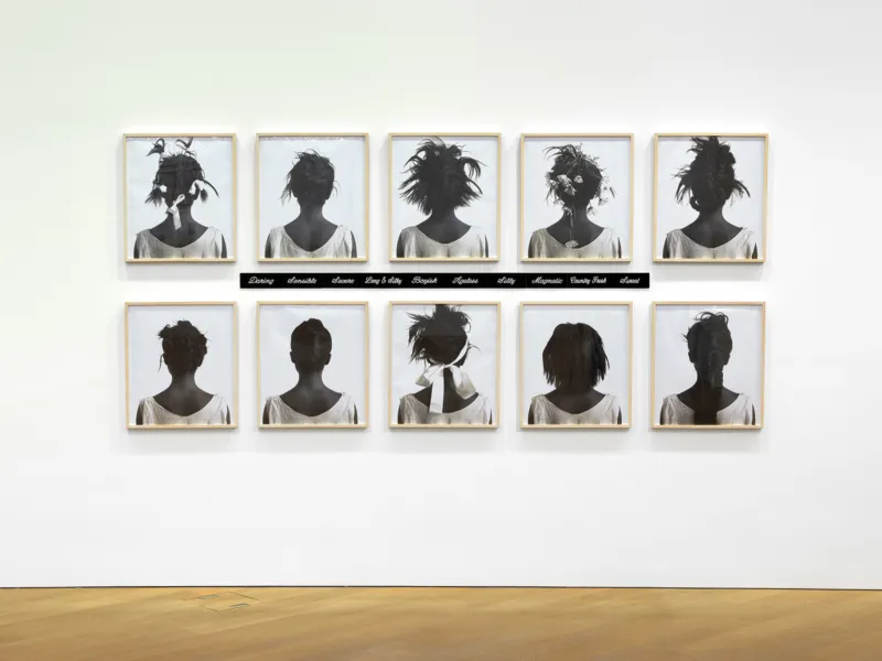 Mudam Collection Lorna Simpson Stereo Styles