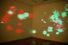 Charles Sandison good and evil mudam collection