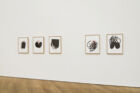 Claire Barclay Offerings mudam collection
