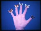 Jack Goldstein, ‘Some Butterflies’, 1975. Film 16mm, couleur, silencieux. 30 sec. Collection Mudam Luxembourg. Acquisition 2001 © Photogramme : Mudam Luxembourg