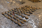 Jan Fabre strategieveld de slag mudam collection