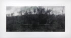 Javier Vallhonrat Acaso N°31 (Retama con Cuerdas), 2002 Photographie noir et blanc 91,3 x 170 cm Collection Mudam Luxembourg Acquisition 2003 © Photo : Rémi Villaggi