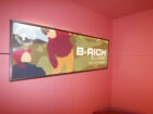 Jean Christophe Massinon b riche banque mudam collection