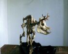 Joao_Maria_Gusmao__Pedro_Paiva_about_skeleton_mudam_collection