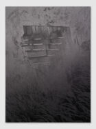 Lutz Guggisberg stump asleep mudam collection