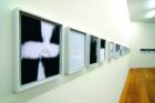 MarieCool_FabioBalducci_sans_titre_mudam_collection