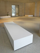 Martin Szekely lobby mudam collection