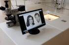 Michel_Paysant_nano_portraits_mudam_collection