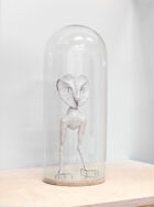 Miguel Branco owl mudam collection