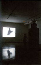 Mircea Cantor Shadow for a While Mudam collection
