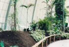 Mudam Collection Johne Haberkorn Paradiese