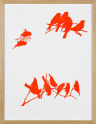 Mudam_Collection_Michel_Paysant_Oiseaux_fluos