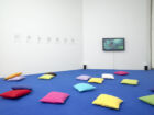 Pierre Bismuth The Jungle Book Project mudam collection
