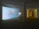 Pipilotti Rist stir heart rinse heart mudam collection