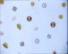 Robert Breer 69 mudam collection