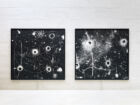Stéphane Sautour Alkeishiukkanen mudam collection