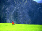 Su-Mei Tse, "L’écho", 2003. Vidéo couleur, son. 4 min 54 sec, en boucle. Collection Mudam Luxembourg. Acquisition 2003 © Su-Mei Tse