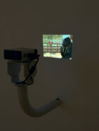 Paul Pfeiffer, ‘Study for Koko’, 2008. Installation vidéo, couleur, son. Projecteur de poche, armature en métal, ordinateur mac mini, haut-parleur posé au sol. Dimensions variables. Projection : 19,75 x 11,5 cm. Projecteur et armature : 50,8 x 12,5 x 38,1 cm. 4 min 47 sec en boucle. Collection Mudam Luxembourg. Acquisition 2008. Photo : Paul Pfeiffer / Courtesy Thomas Dane Gallery, London