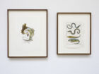 Untitled Italy Anguille Congre Carape Passan