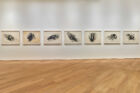 Nedko Solakov, ‘Historical Decision’, 1987. Ensemble de 7 dessins. Charbon de bois, graphite, craie rouge sur papier. 70 x 100 cm chacun. Collection Mudam Luxembourg. Acquisition 2019. Vue de l’exposition ‘Face-à-Face’, Mudam Luxembourg, 08.10.2022 – 02.04.2023 © Photo : Studio Rémi Villaggi | Mudam Luxembourg