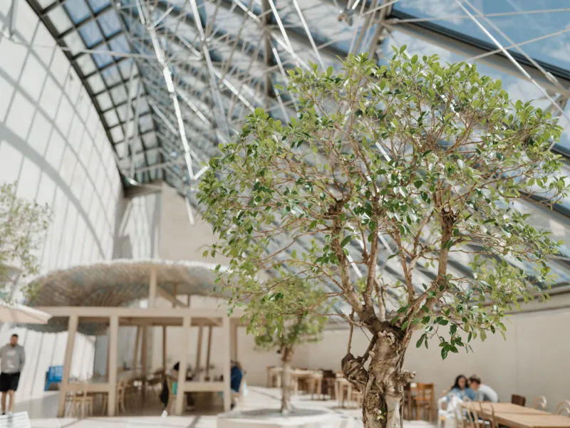 Ronan & Erwan Bouroullec, ‘Mudam Café’, 2005–2006. Commande et Collection Mudam Luxembourg. Photo : Marion Dessard © Mudam Luxembourg