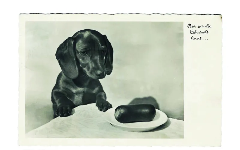 Nur wer die Sehnsucht kennt / Only those who know the longing, 14 x 9 cm, ca. 1934. From the postcard collection of artist Julia Schäfer.