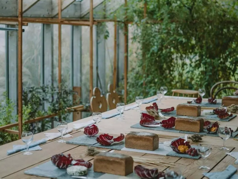 A dining table set for several people, with cabbage, cheese, grapes and bread.