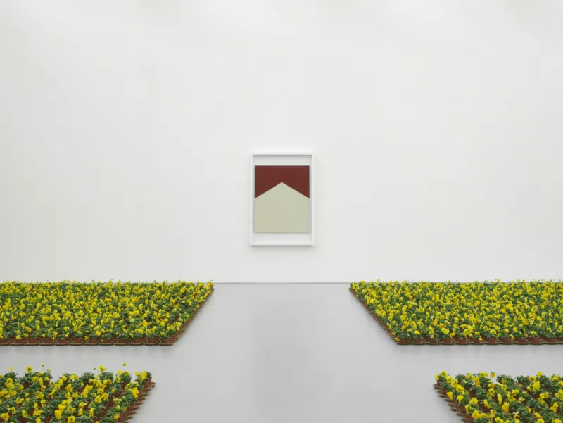 General ldea, ‘Untitled (Marlboro)’, 1986. Acrylic, pasta on canvas. Collection Mudam Luxembourg. Acquisition 2007. Nina Beier, ‘Field’, 2023. Flower, soil, plastic. View of the exhibition ‘A Model’, Mudam Luxembourg © Photo: Mareike Tocha | Mudam Luxembourg