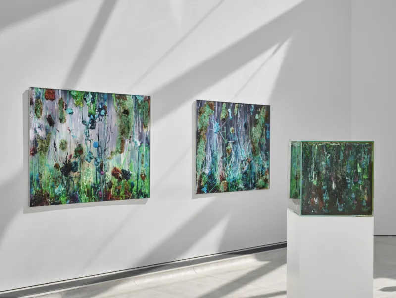View of the exhibition ‘Agnieszka Kurant. Risk Landscape’, Mudam Luxembourg © Photo: Mareike Tocha | Mudam Luxembourg
