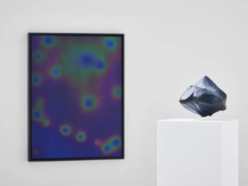 View of the exhibition ‘Agnieszka Kurant. Risk Landscape’, Mudam Luxembourg. Photo: Mareike Tocha © Mudam Luxembourg