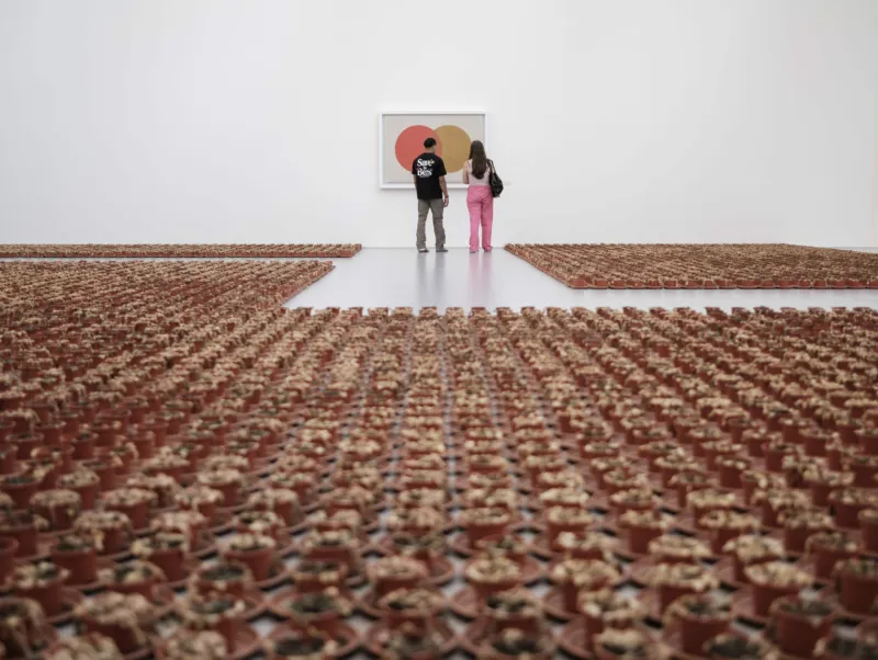 View of the exhibition ‘A Model’, Mudam Luxembourg © Photo: Pancake! Photographie | Mudam Luxembourg