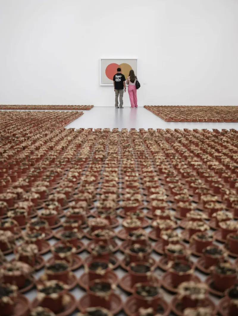 View of the exhibition ‘A Model’, Mudam Luxembourg © Photo: Pancake! Photographie | Mudam Luxembourg