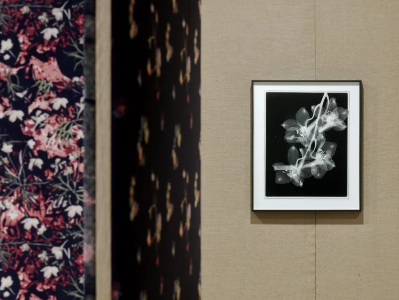 View of the exhibition ‘Lisa Oppenheim: Monsieur Steichen’, Mudam Luxembourg. Photo: Mareike Tocha © Mudam Luxembourg