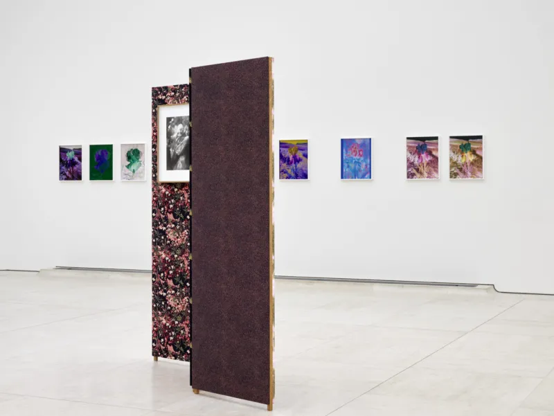 View of the exhibition ‘Lisa Oppenheim: Monsieur Steichen’, Mudam Luxembourg. Photo: Mareike Tocha © Mudam Luxembourg