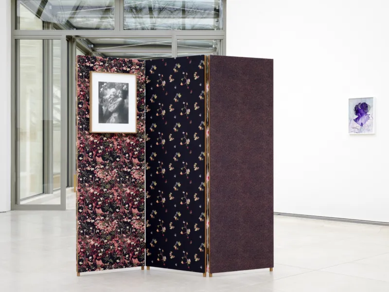 View of the exhibition ‘Lisa Oppenheim: Monsieur Steichen’, Mudam Luxembourg. Photo: Mareike Tocha © Mudam Luxembourg