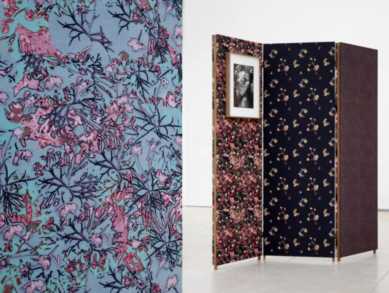 View of the exhibition ‘Lisa Oppenheim: Monsieur Steichen’, Mudam Luxembourg. Photo: Mareike Tocha © Mudam Luxembourg