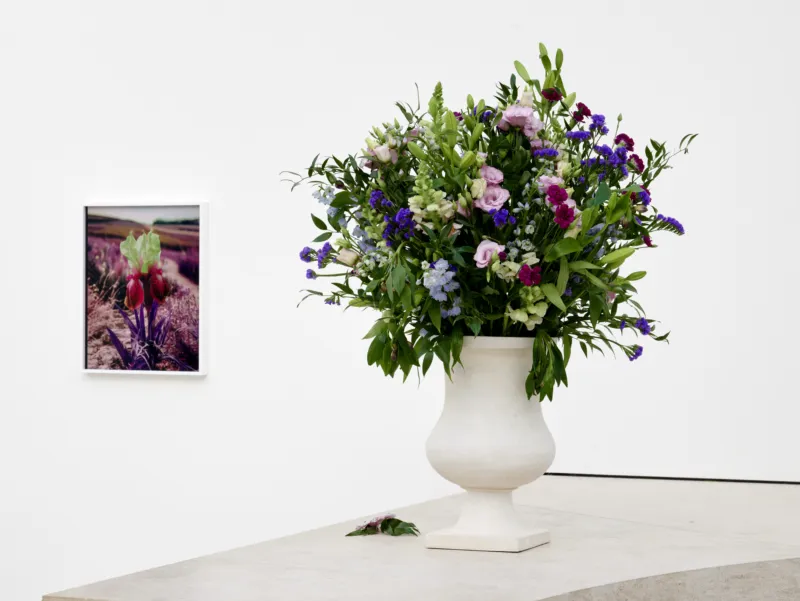 View of the exhibition ‘Lisa Oppenheim: Monsieur Steichen’, Mudam Luxembourg. Photo: Mareike Tocha © Mudam Luxembourg