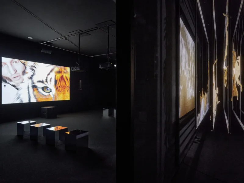 View of the exhibition ‘Ho Tzu Nyen: Time & the Tiger’, Mudam Luxembourg. Photo: Mareike Tocha © Mudam Luxembourg