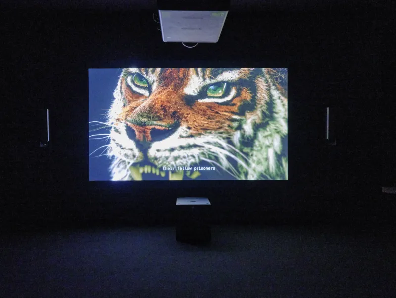 View of the exhibition ‘Ho Tzu Nyen: Time & the Tiger’, Mudam Luxembourg. Photo: Mareike Tocha © Mudam Luxembourg