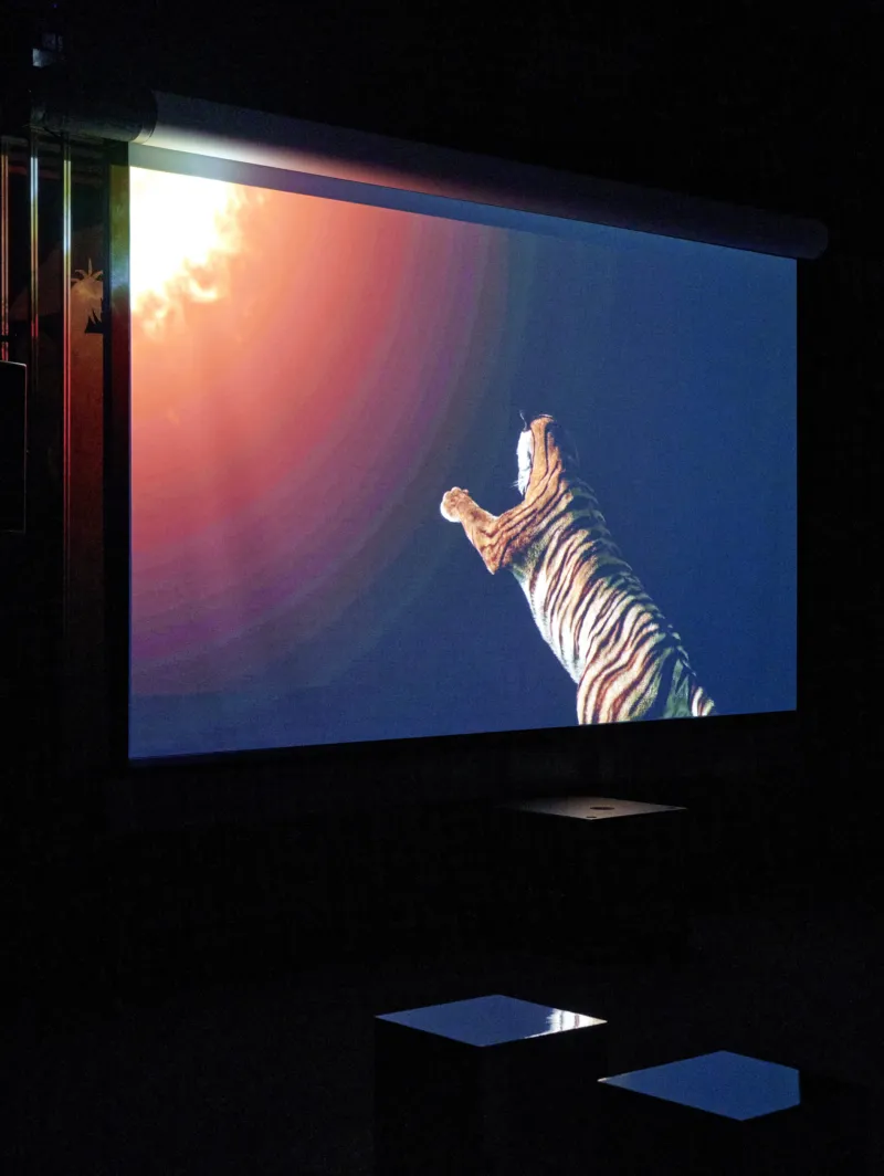 View of the exhibition ‘Ho Tzu Nyen: Time & the Tiger’, Mudam Luxembourg. Photo: Mareike Tocha © Mudam Luxembourg