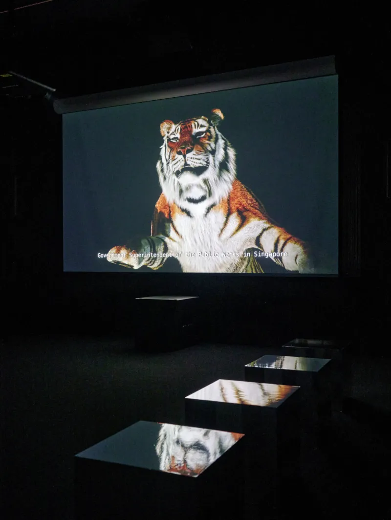 View of the exhibition ‘Ho Tzu Nyen: Time & the Tiger’, Mudam Luxembourg. Photo: Mareike Tocha © Mudam Luxembourg