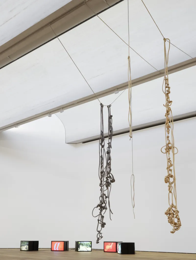 Leonor Antunes, ‘discrepancies with M.S. #4’, 2020 + ‘discrepancies with M.S. #7’, 2020. Collection Mudam Luxembourg. Donation 2021 – Les Amis des Musées d'Art et d'Histoire Luxembourg. Diana Thater, ‘The Individual as a Species’, 1996. Donation 2023 – Gaby et Wilhelm Schürmann avec le soutien des membres du Cercle des collectionneurs du Mudam Luxembourg. View of the exhibition ‘Radio Luxembourg: Echoes across borders’, Mudam Luxembourg. Photo: Mareike Tocha © Mudam Luxembourg
