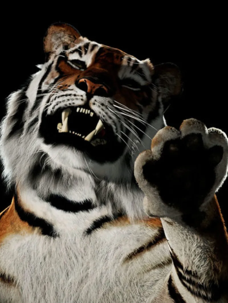 Ho Tzu Nyen, ‘One or Several Tigers (video still)’, 2017. Courtesy of the artist and Kiang Malingue