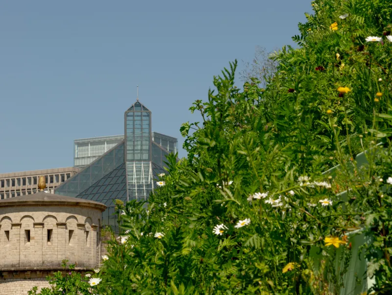 ‘Agnes Denes: The Living Pyramid’, 2015. Park Dräi Eechelen. Photo: Olivier Hoffmann © Mudam Luxembourg