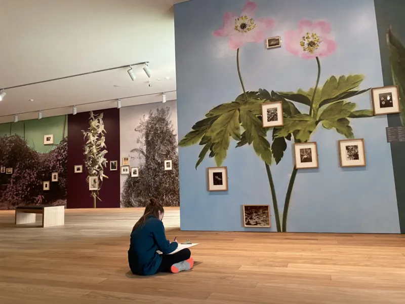A child drawing in front of a wall with a huge flower tapestry.