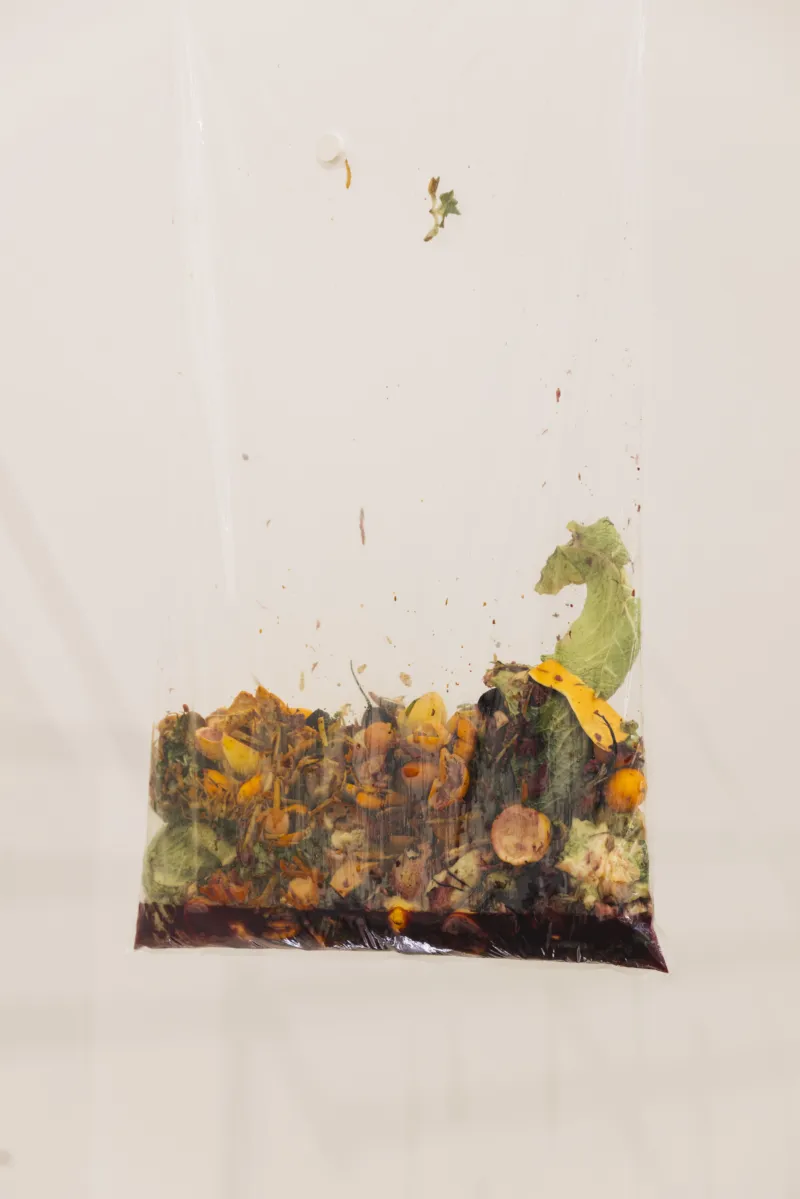 "The Collective Laboratory. Artist residency" exhibition view © Photo: Eike Walkenhorst | Mudam Luxembourg