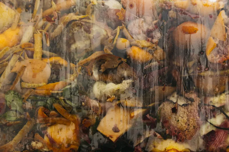 A bag full of organic waste.