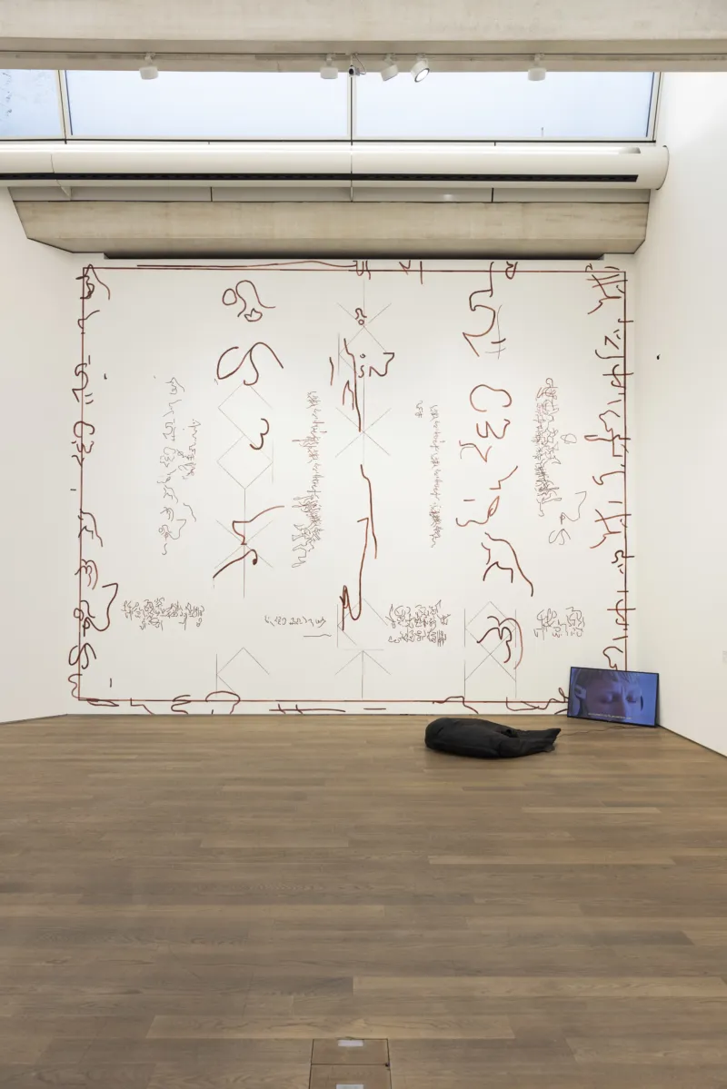 "The Collective Laboratory. Artist residency" exhibition view © Photo: Eike Walkenhorst | Mudam Luxembourg