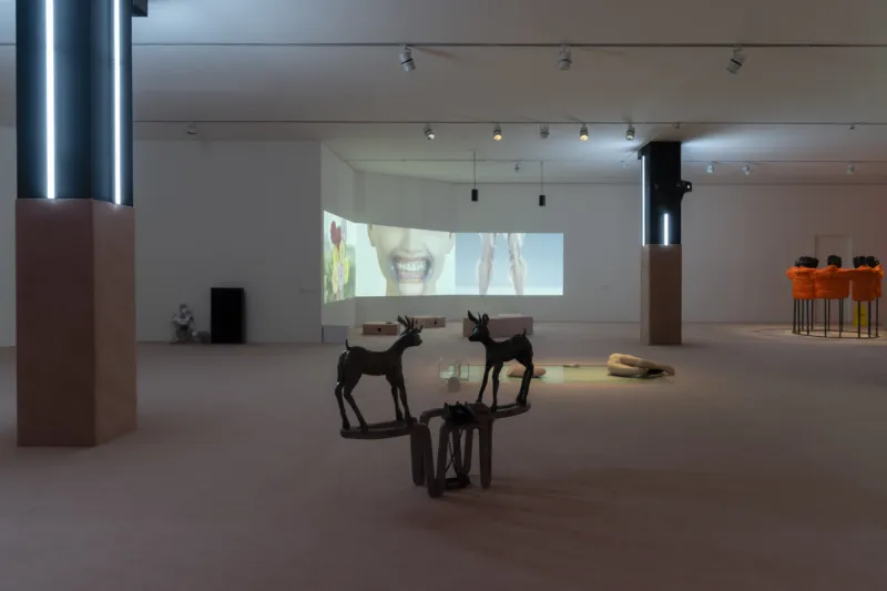 Vue de l’exposition "After Laughter Comes Tears", Mudam Luxembourg 13.10.2023 – 07.01.2024  © Photo : Fabrizio Vatieri | Mudam Luxembourg