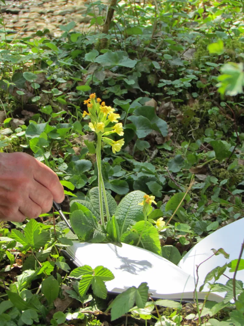 Alan Desinant sur lombre Haute Marne 2014